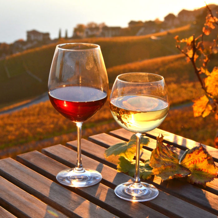 Preserve Fall’s Best Wines: Optimal Storage for Big Reds and Structured Whites